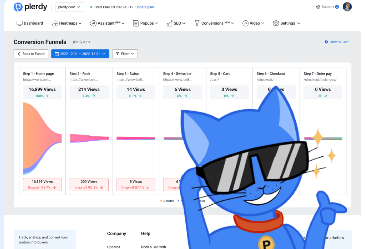 Website Funnel Analysis